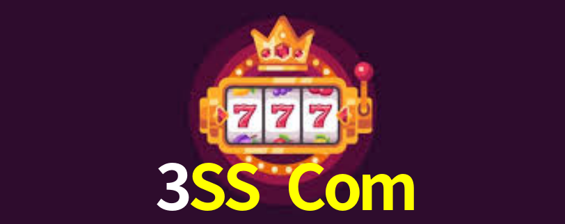 3SS Com App Interface