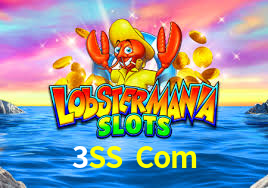 Programa VIP 3SS Com